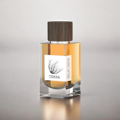 EMPER Terra Eau Da Parfum 100ml (UNISEX)