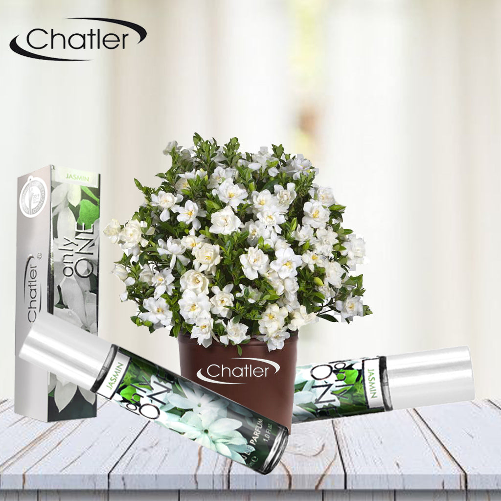 CHATLER Only One Jasmine 5X Eau De Parfum 30ml plus free tester